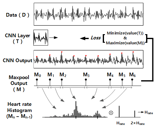 Figure 3—CNN-assisted Template Matching. The figure shows the different stages of RF-SCG’s segmentation algorithm. After the CNN and Maxpool layers, each segment between neighboring M’s is a candidate for the hearbeat period (or heart rate). The final stage involves heart rate estimation using a histogram.