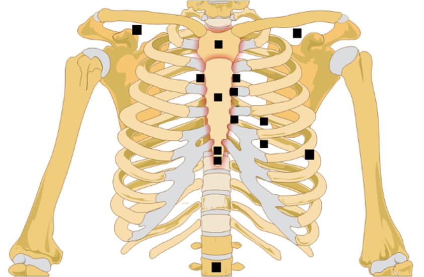 Figure 2. Sensor location distribution in recent SCG studies.