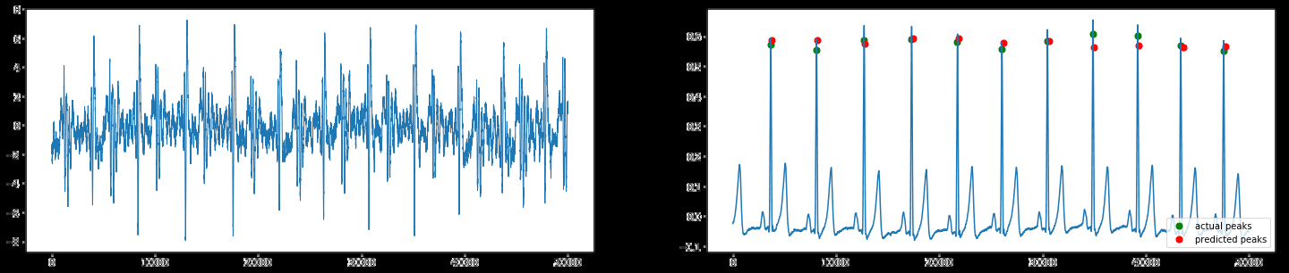 No caption found automatically.