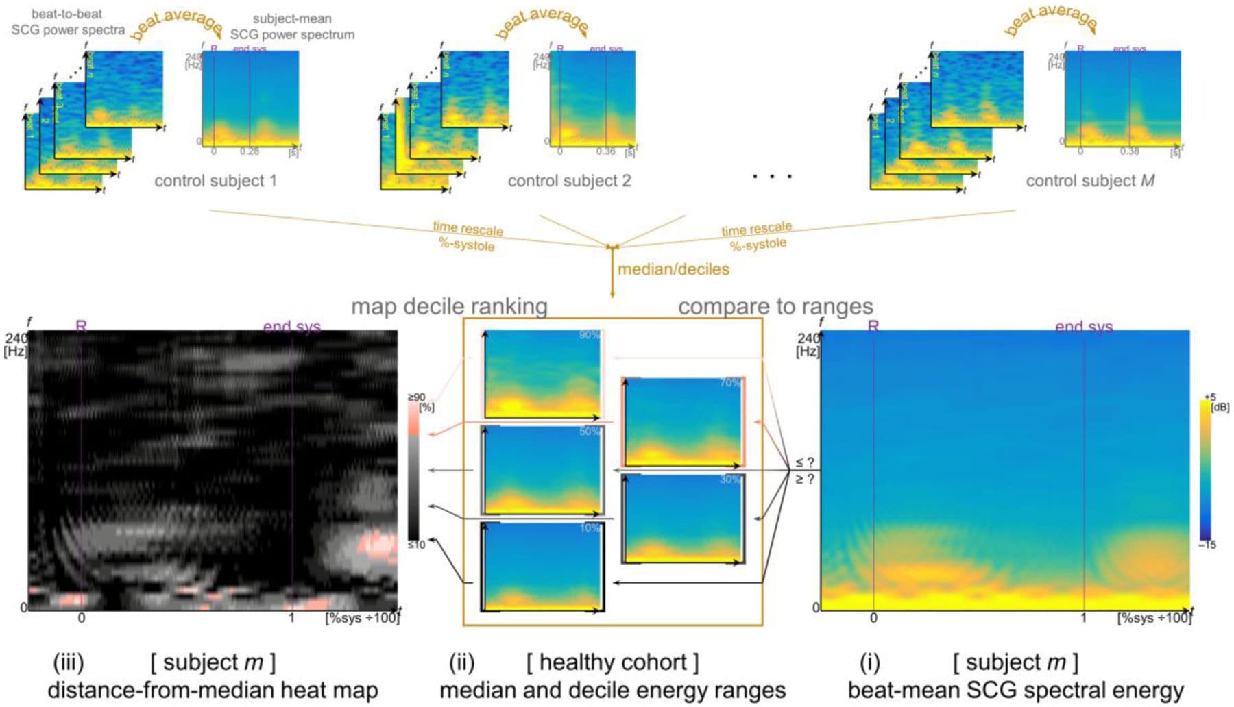 Figure 5. Normative median and decile ranges for SCG energies (middle) were aggregated from the beat-averaged SCG spectra of the healthy cohort (top). Individual subjects’ SCG energies (right) were compared to the quantiles to classify each frequency and time point according to deciles of energy levels. Decile rankings were coded into heat maps (left) indicating distance from the median, so that for example, a frequency and time point with SCG power exceeding that of 90% of the normal cohorts’ powers is shown light pink; and, conversely, a point at which the power is less than 90% of the normal cohorts’ powers (10% decile) is shown black.