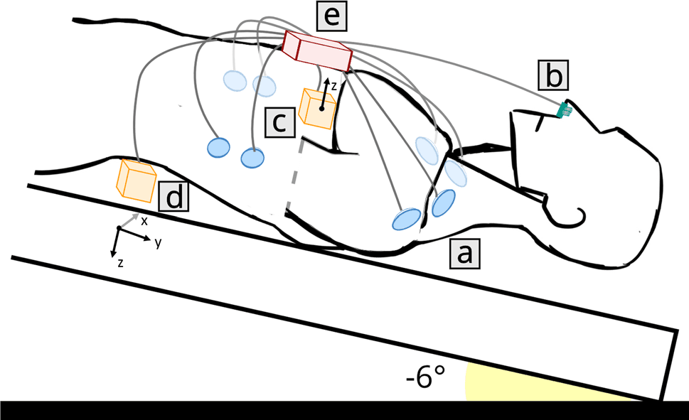 Figure 2. A schematic representation of the different elements of CARDIOVECTOR-1. (a) ECG/ICG electrodes; (b) PTG sensor (nasal thermistor); (c) SCG sensor at the cardiac apex (dorsoventral linear accelerations); (d) BCG sensor between the second and the third lumbar vertebrae (3-axis linear accelerations and 3-axis angular velocities); (e) Main unit (connection and amplification).
