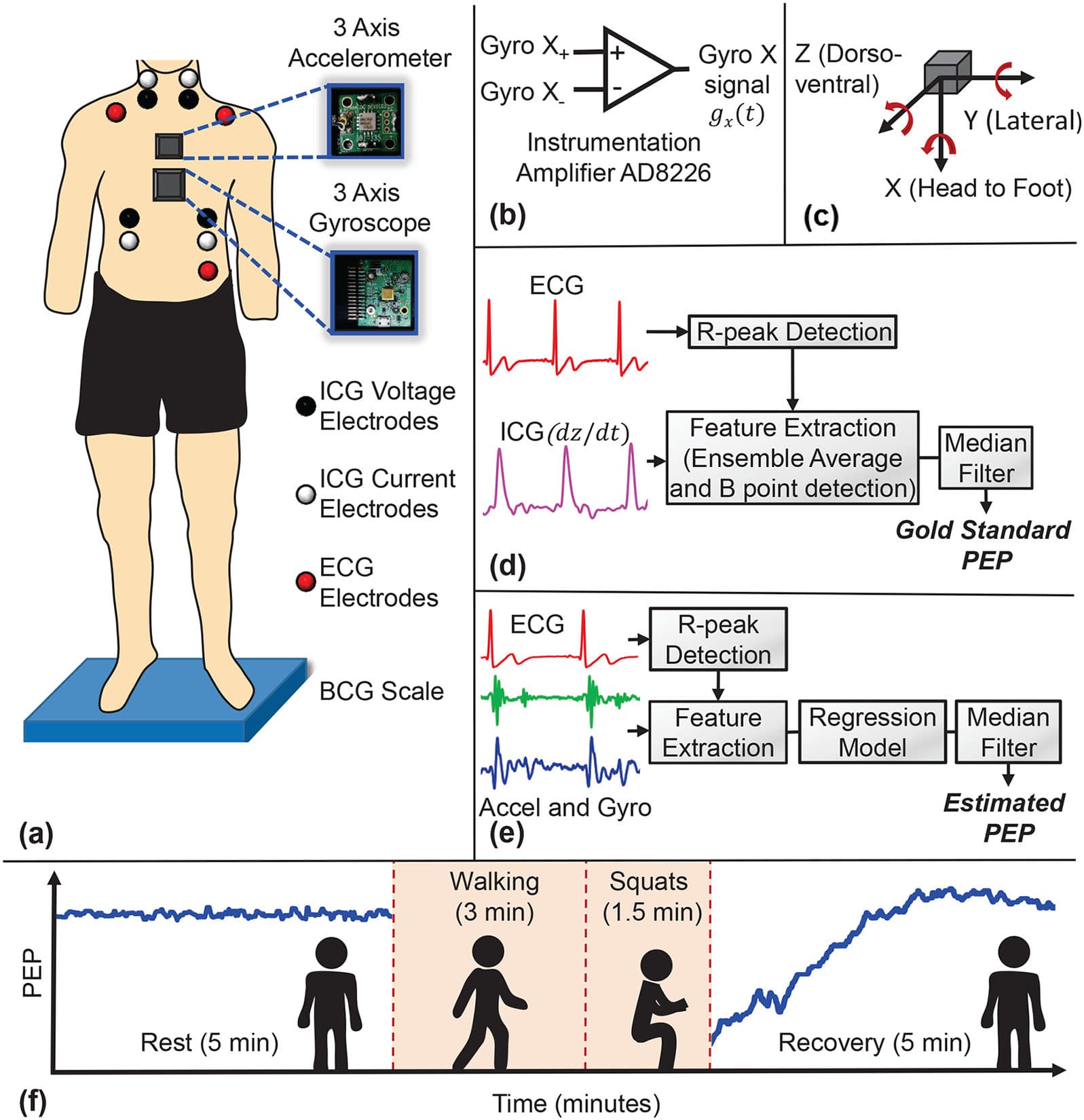 Fig. 2. (a) The experimental setup with the subject standing on the BCG scale, with all other wearable sensors attached to the body. One accelerometer (ADXL354) and one gyroscope (QGYR330HA) are placed on the mid sternum. ECG and ICG signals are collected simultaneously. (b) Circuit connection for the conversion of differential output of the gyroscope to single output per axis, using an instrumentational amplifier (AD8226). (c) Axis labels used for the accelerometer and gyroscope, with accelerometer X axis in the head to foot direction, Y axis in the side to side (lateral) direction and Z axis in the dorso-ventral direction. Gyroscope X axis angular velocity corresponds to the rotation around head to foot axis, Y axis angular velocity corresponds to the rotation around frontal axis and Z axis angular velocity corresponds to the rotation around sagittal axis. (d) Block diagram of the segmentation for ICG signal with reference R peaks from the corresponding ECG signal, feature extraction from the ICG segments to calculate ground truth PEP. (e) Block diagram of the segmentation for accelerometer and gyroscope signals with reference R peaks from corresponding ECG signal, feature extraction from the segments to estimate PEP. (f) PEP trend with the chronology of the experiment, 5-minute rest standing on BCG scale, 3-minute